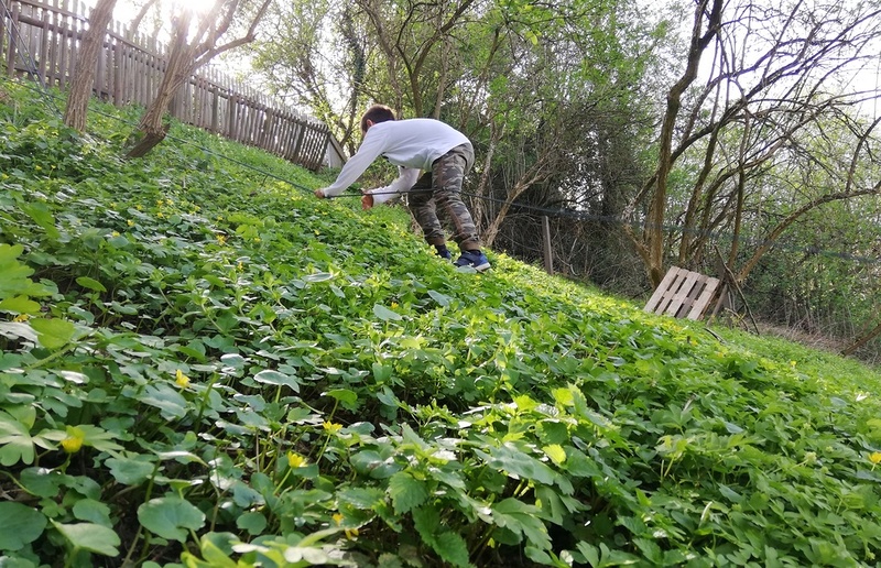 Foto: Kathrin Wallner