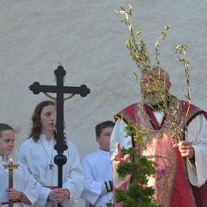 Palmweihe 2025 in Peggau